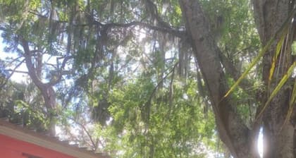 13) The Flower Box w/ Queen bed