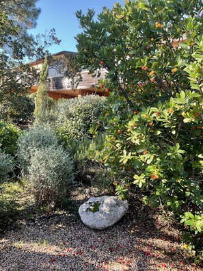 Terrein van de accommodatie