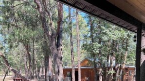 A covered outdoor area with a view of a forest and a cabin. - Fully fenced yard, dogs welcome!  (Lakeside)