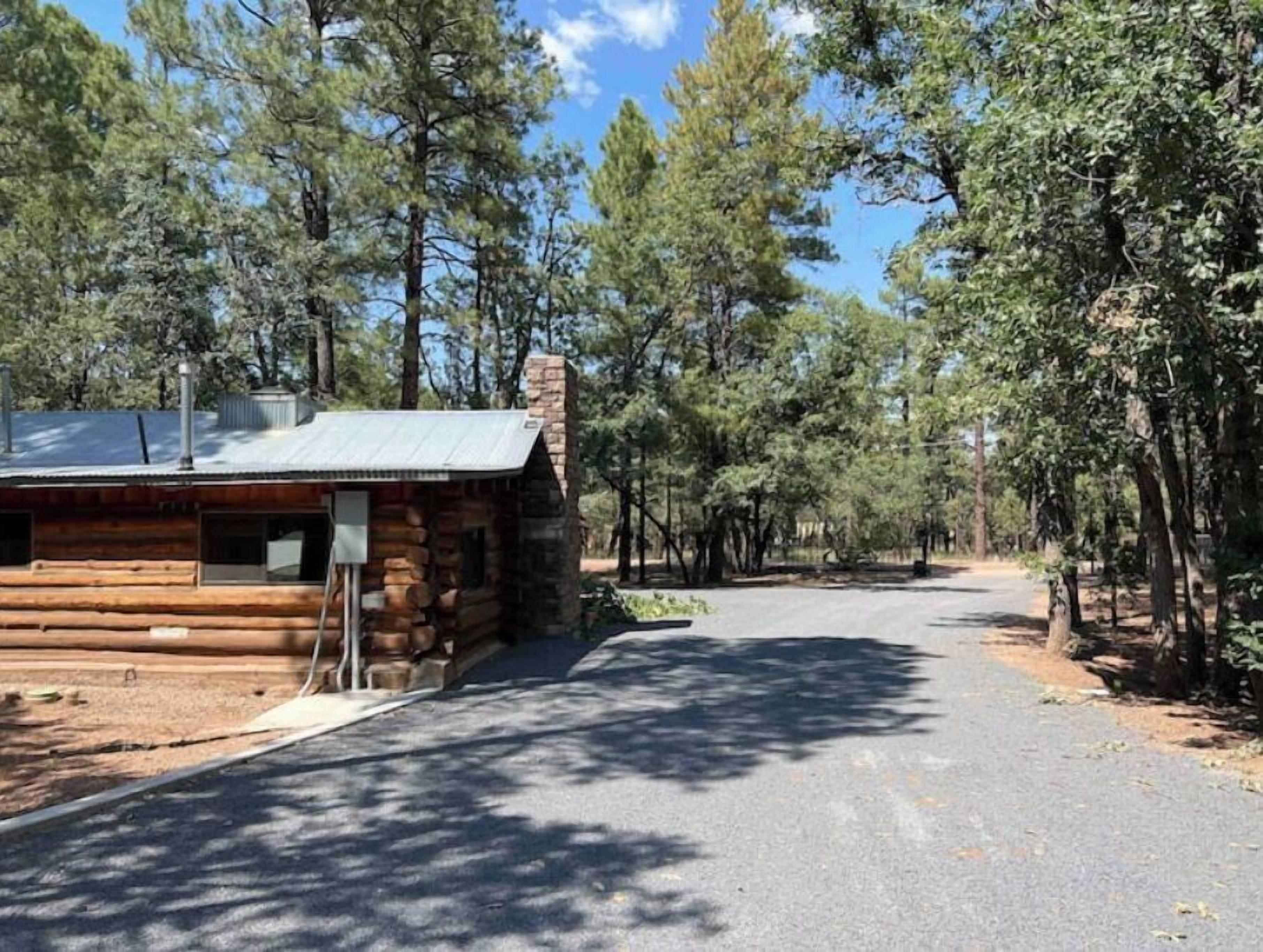 A log cabin with a metal roof, surrounded by tall pine trees.