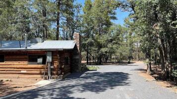 A log cabin with a metal roof, surrounded by tall pine trees.