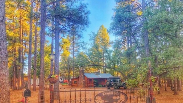 A rustic cabin with a metal gate, surrounded by tall trees and a clear sky. - Fully fenced yard, dogs welcome!  (Lakeside)