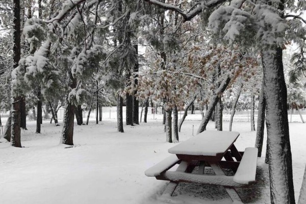 Servei de restauració a l'aire lliure