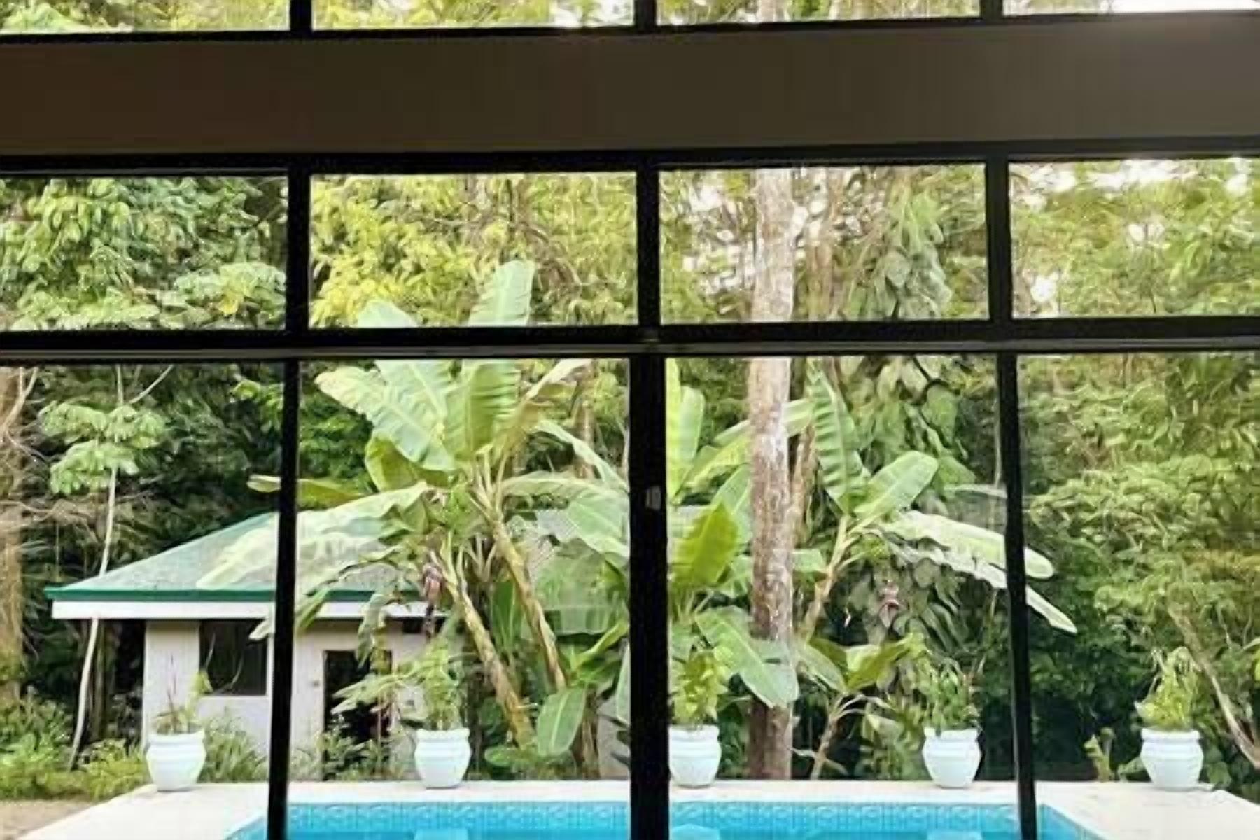A view through a window with a pool in the foreground and lush greenery outside.