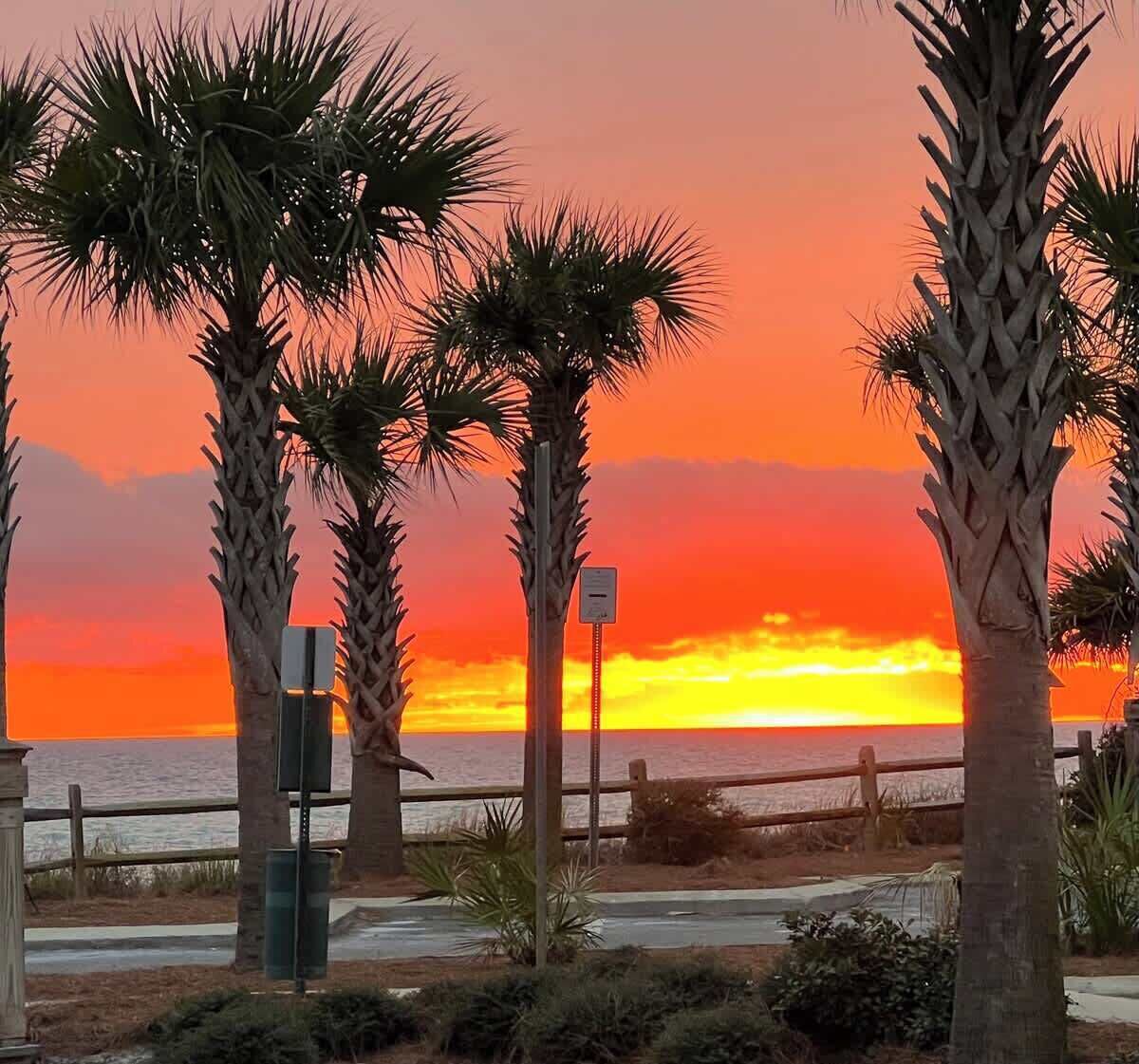 Une vue sur le coucher de soleil, avec des palmiers et une clôture en bois.