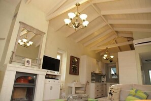 Una televisión, una chimenea, un reproductor de DVD