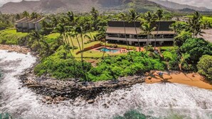 A beachfront property with a pool, palm trees, and a mountainous backdrop. - Luxury 2-Story Oceanfront Condo w/ Views & Pool (Wailua)
