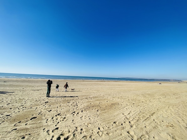 Enjoy a serene beach experience with access to the ocean.