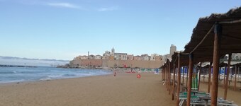 ITALY-HOUSE.COM BRIGIDA BROTHERS 100 UP