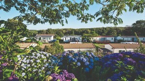 Un quartier résidentiel avec de nombreuses maisons, de beaux jardins luxuriants et un ciel dégagé.
