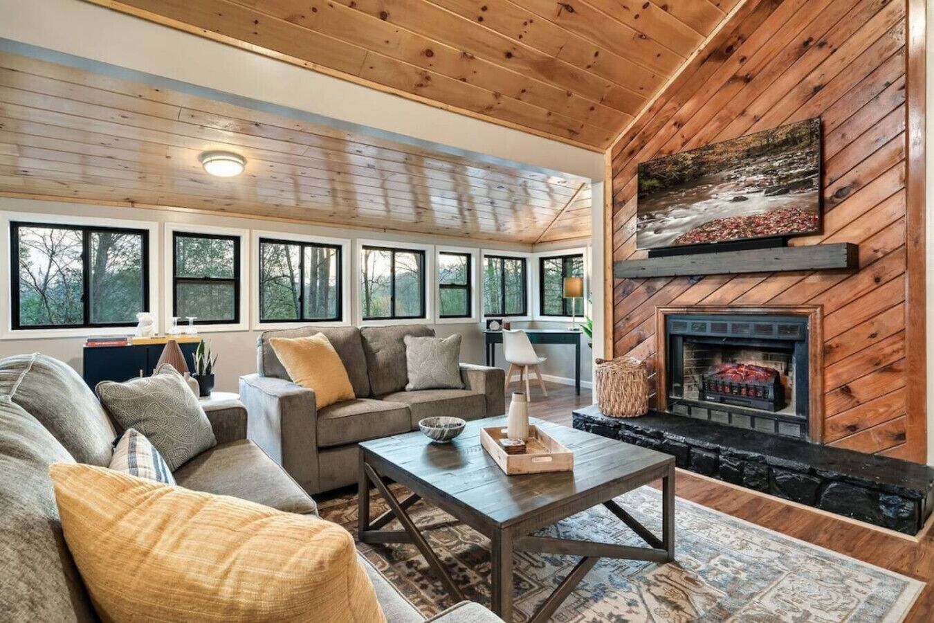 Smart TV, fireplace, books