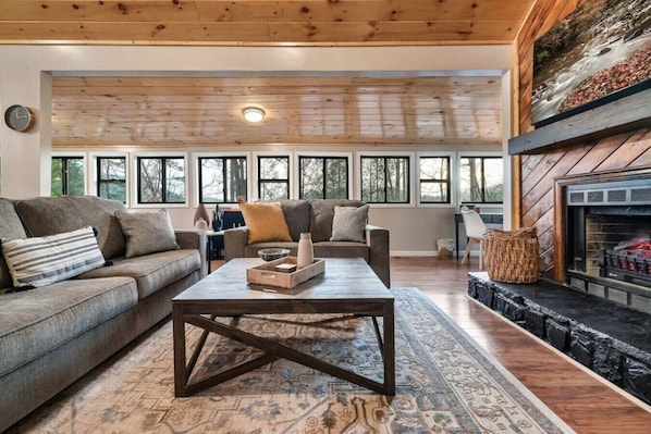 Smart TV, fireplace, books