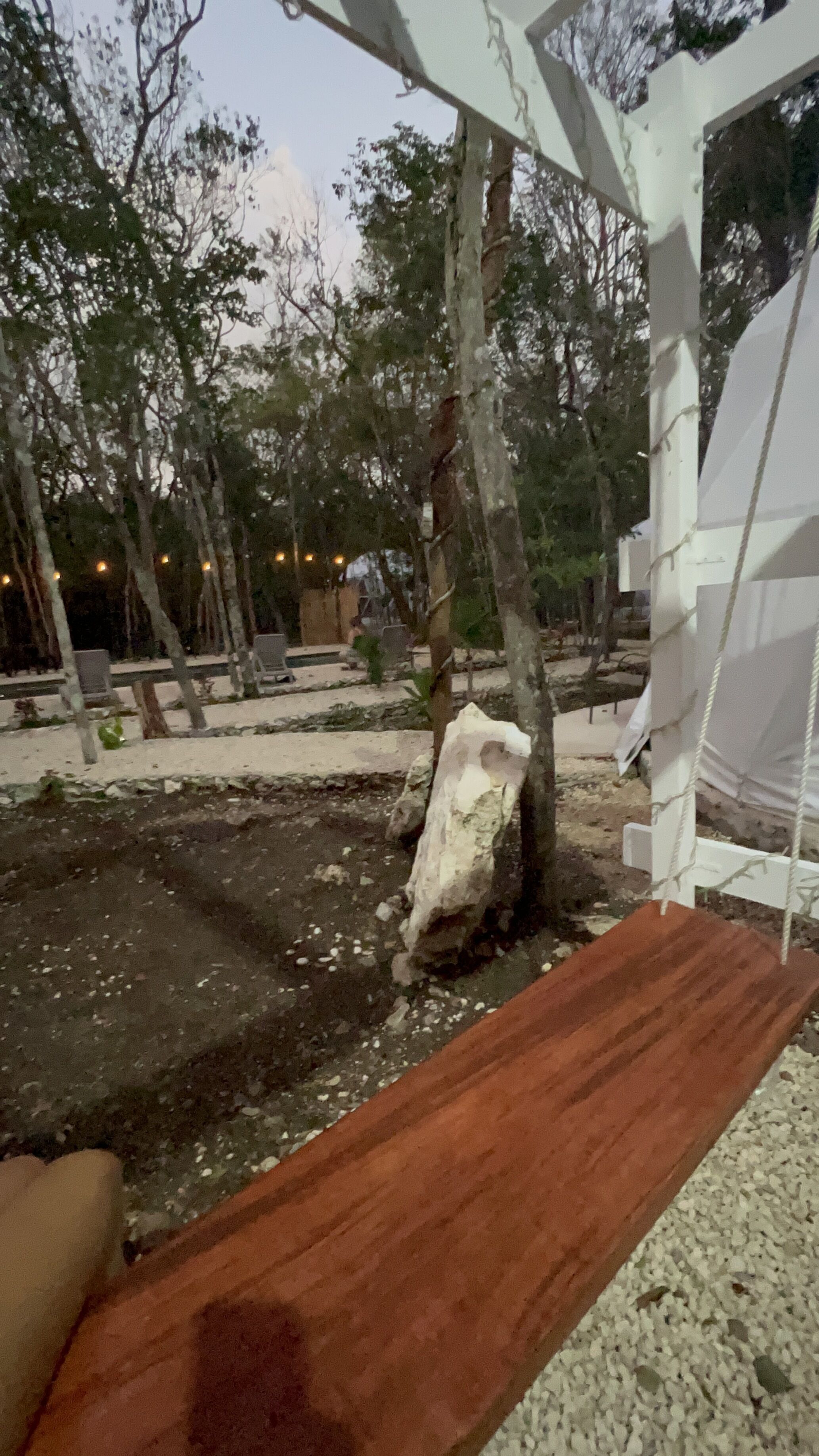 Ένα ξύλινο παγκάκι κάτω από μια λευκή πέργκολα, με δέντρα στο βάθος.