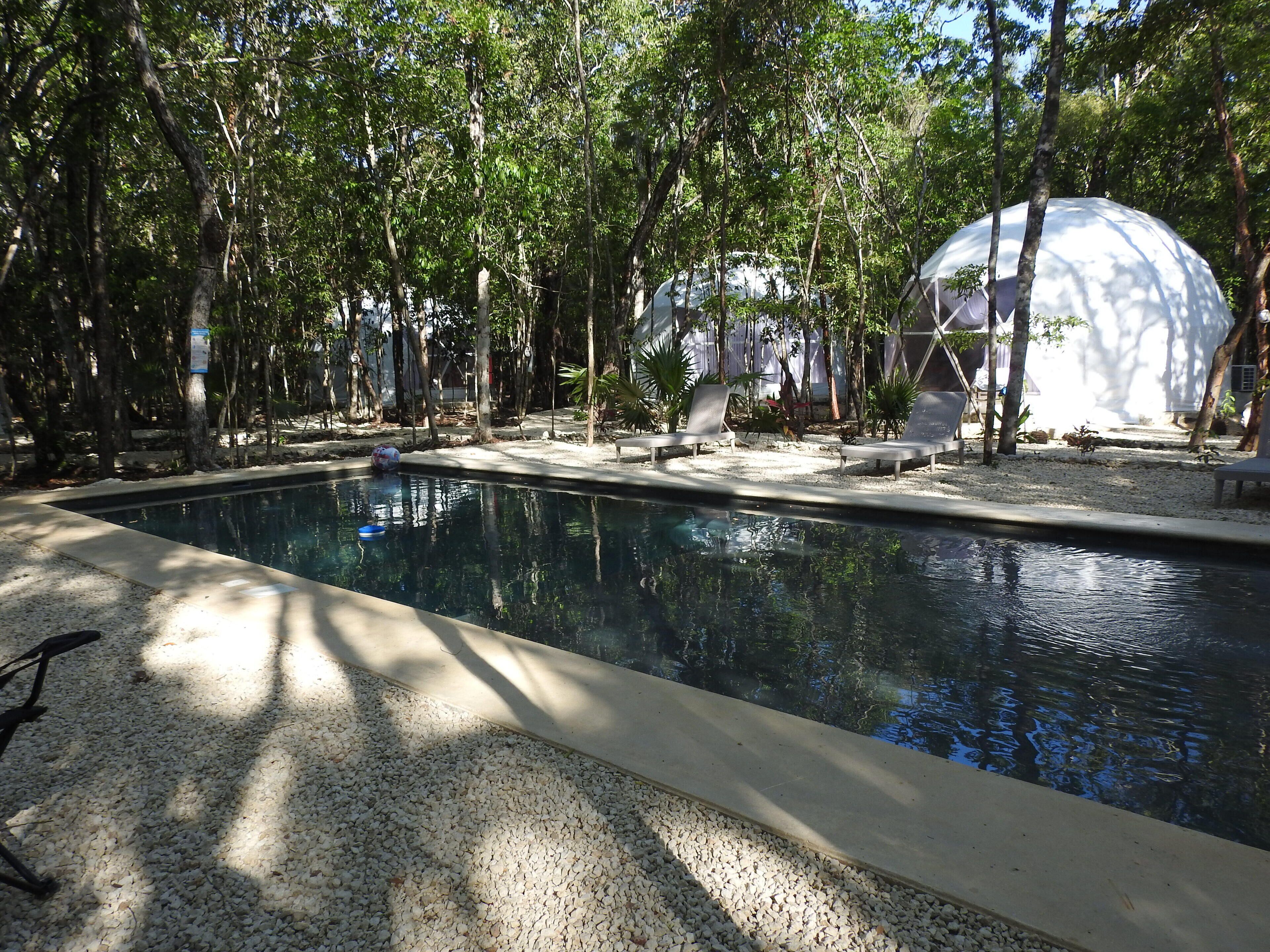 Una piscina rodeada de árboles, con sillones de descanso y una estructura en forma de cúpula blanca al fondo.