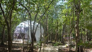 Una estructura abovedada rodeada de árboles en un área boscosa.