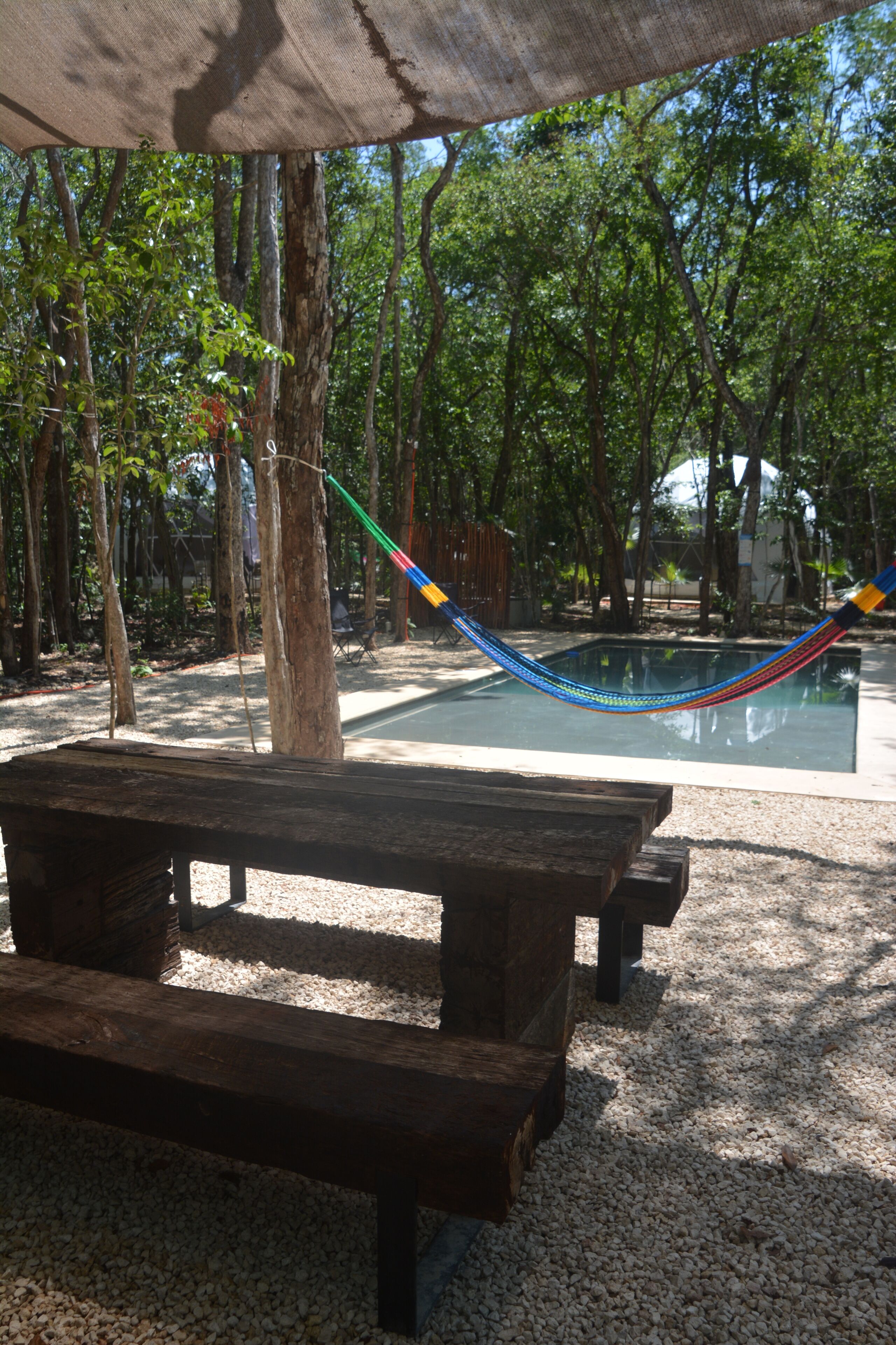 Un banco de madera y una hamaca bajo una zona sombreada, con una piscina y árboles al fondo.