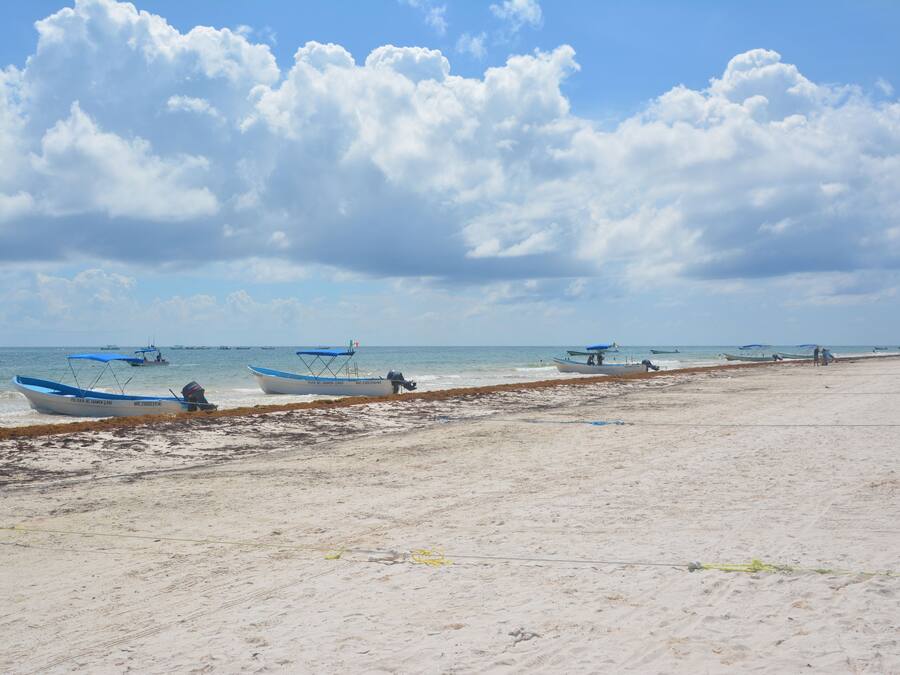 Una playa con barcos alineados en la orilla, arena dorada y el océano al fondo.
