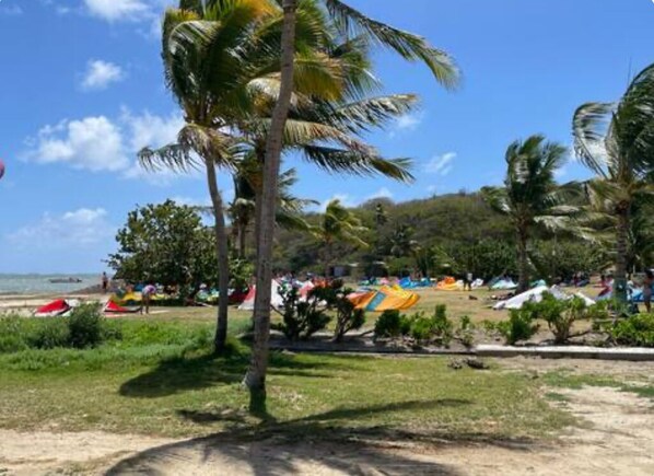 Une plage bordée de palmiers, avec des tentes et une zone sablonneuse.