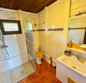 Shower, towels, toilet paper