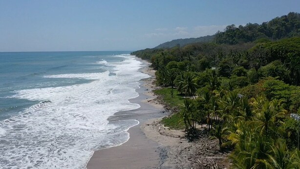 Ein Strand mit Wellen, sandigem Ufer und dichter Vegetation.