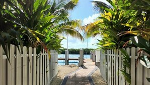 A pathway leading to a beach with a wooden fence on either side, palm trees, and a clear view of the sea.