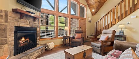 Télévision, cheminée, jeux vidéo