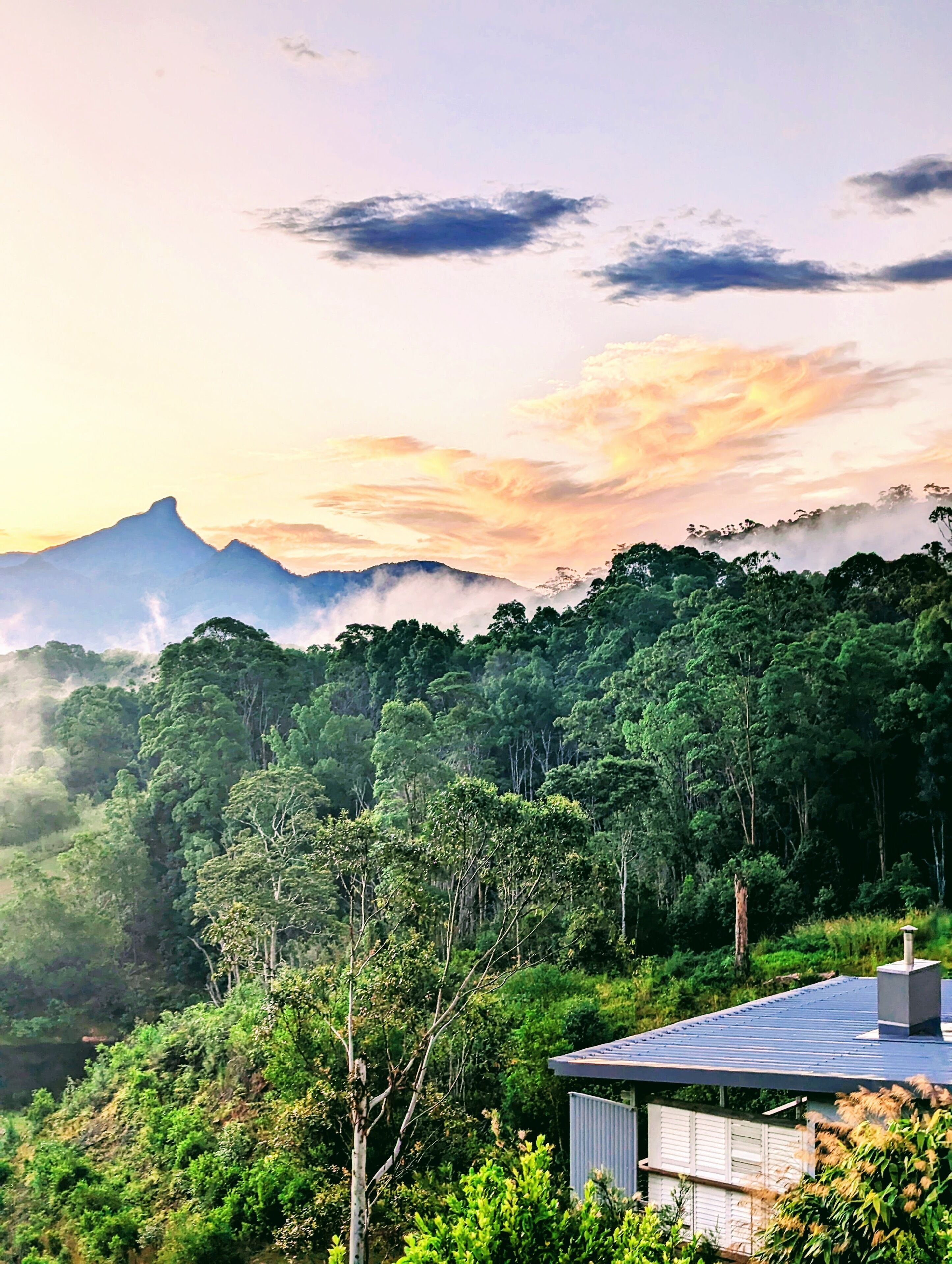 A modern house with a metal roof, surrounded by dense forest and mountains in the background.