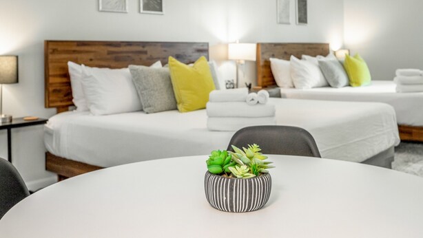 Ein Hotelzimmer mit zwei Betten, einem runden Tisch mit einer Topfpflanze und einem Nachttisch mit einer Lampe.