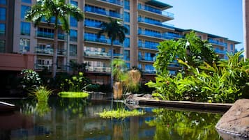 A hotel with a large pool surrounded by lush greenery and palm trees.