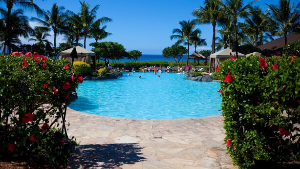 A swimming pool with palm trees and a view of the ocean.