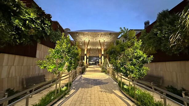 A pathway leading to a building with a unique ceiling design, flanked by trees and benches.