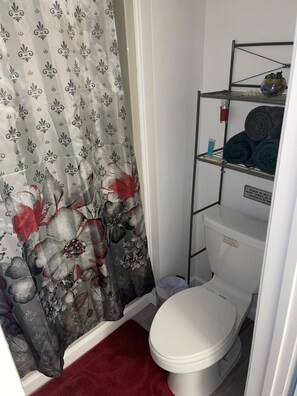 SĂšche-cheveux, serviettes fournies, savon, shampoing