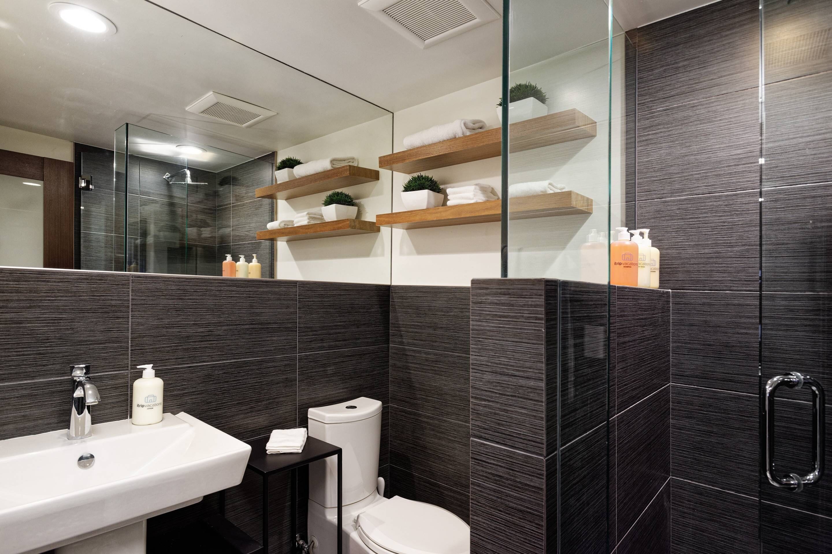Shower, hair dryer, soap, shampoo