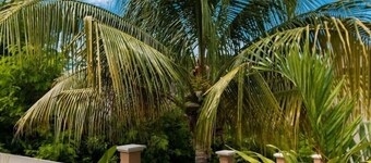 The Indianna ~ Luxury Pool & Spa