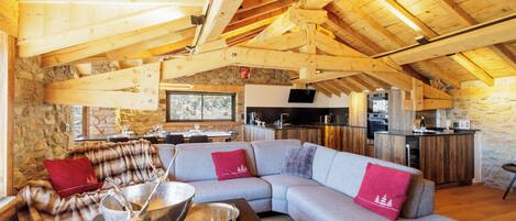 TV, fireplace, video games, DVD player