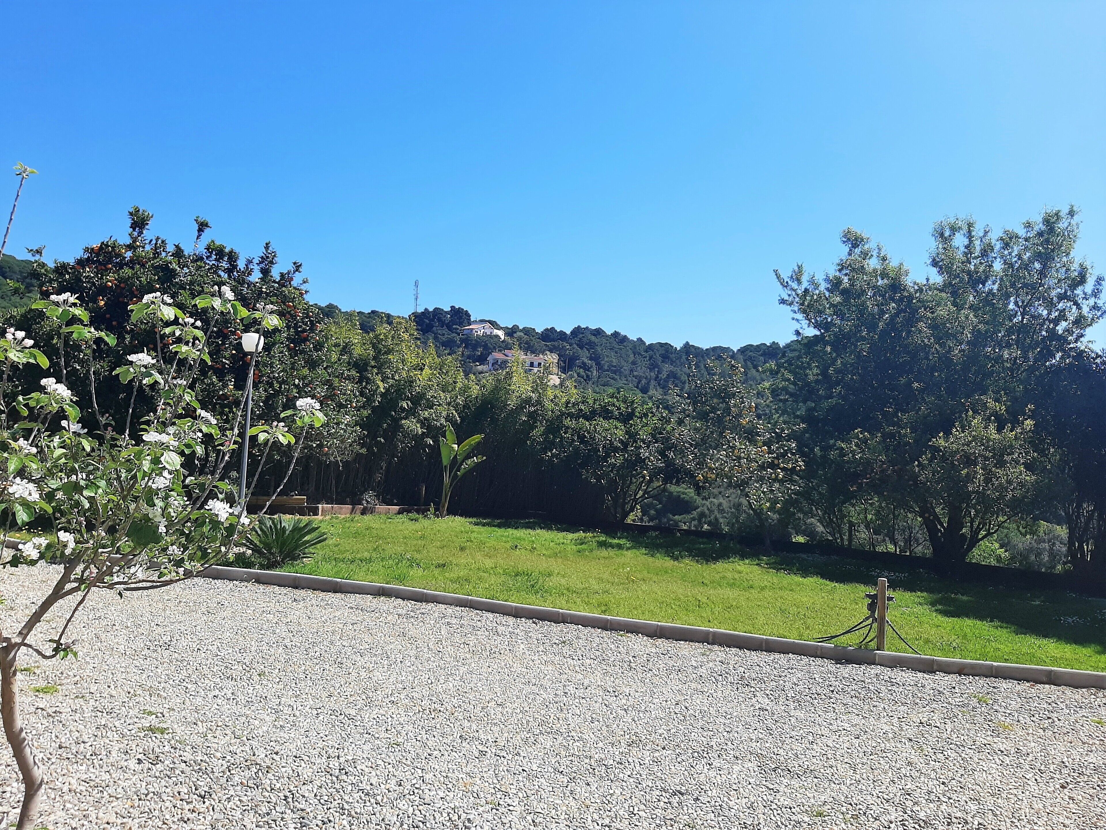 Jardines del alojamiento