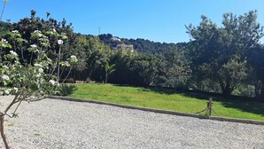 Un chemin de gravier mène à une zone herbeuse, avec des arbres et une colline en arrière-plan.