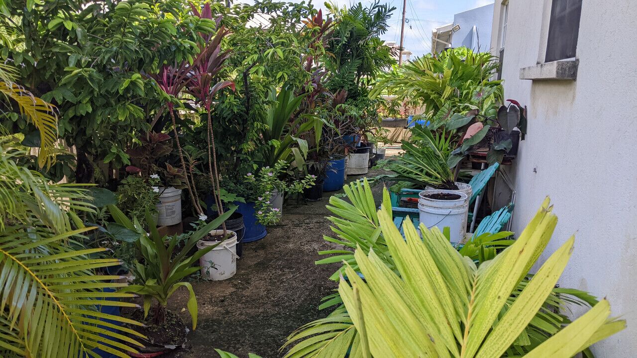 Enceinte de l’hébergement