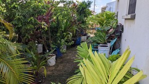 Um jardim com várias plantas em vasos e um pequeno caminho.