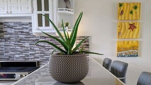 Una cocina moderna con encimera de granito, una maceta texturizada con planta y un armario blanco con puertas de vidrio.