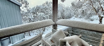 MAGNIFICENT SKIING MT BULLER 450M to ski lift in luxurious European style chalet