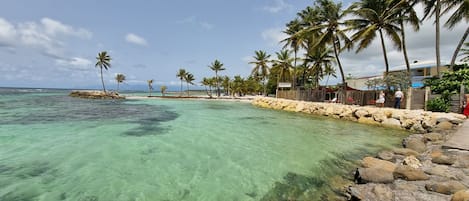 Beach | Sun loungers