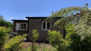 Uma cabana de madeira com duas janelas e uma porta, rodeada por vegetação exuberante e samambaias.