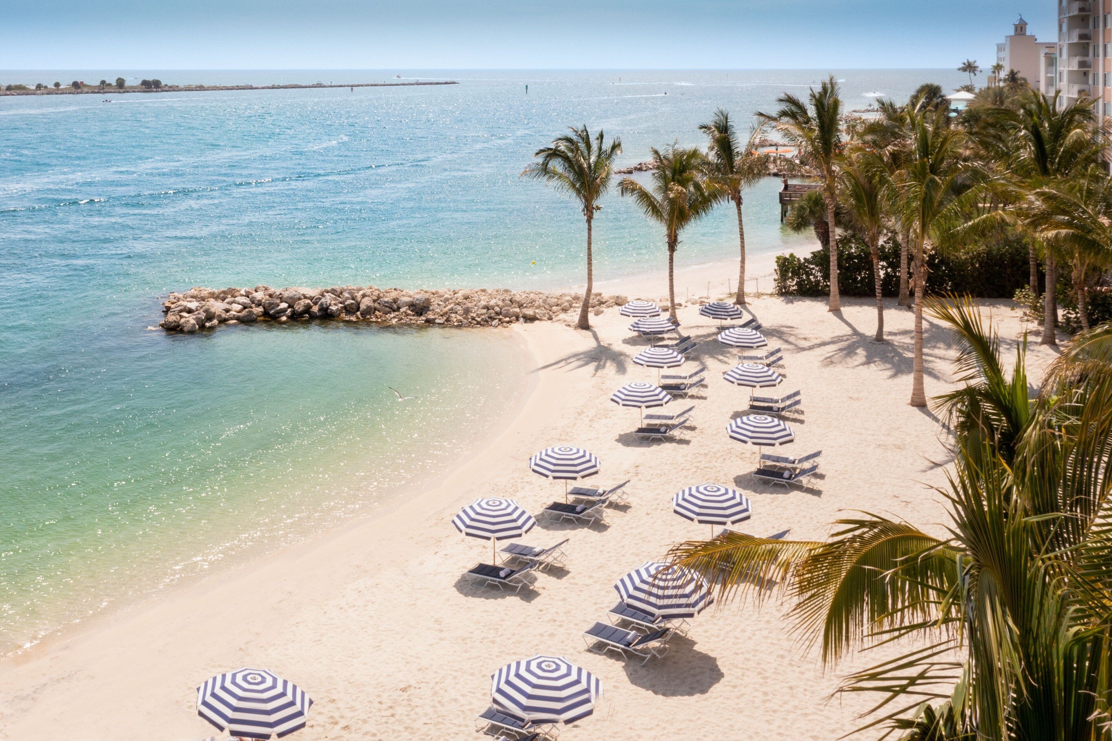 A beach with rows of sun loungers and striped umbrellas, palm trees, and a rocky breakwater.