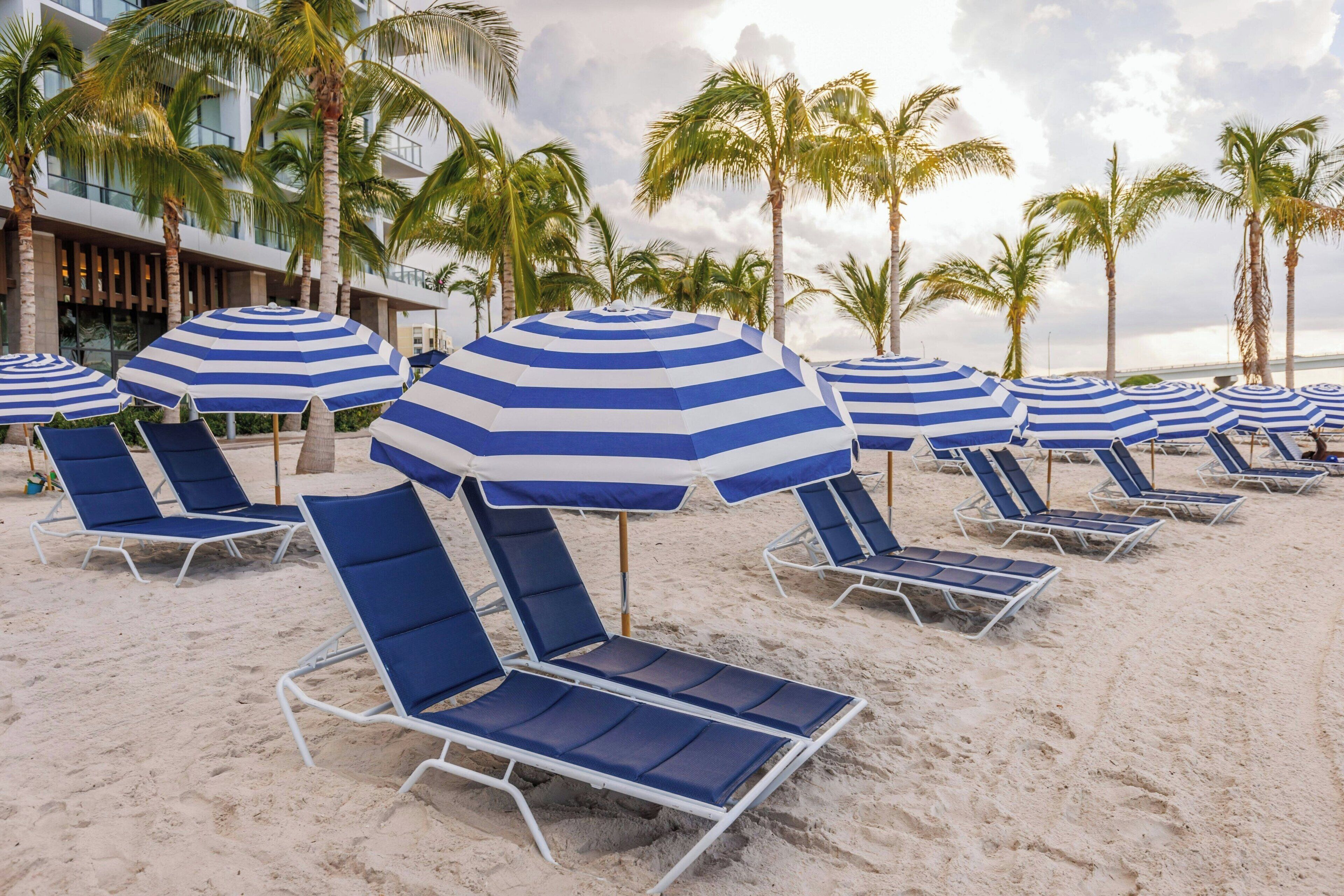 Una playa con hileras de sombrillas y sillones azules y blancos.