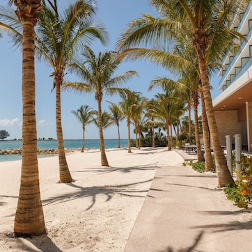 A beachfront hotel with palm trees, a sandy walkway, and a view of the sea.
