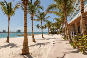 A beachfront hotel with palm trees, a sandy walkway, and a view of the sea. - JW Marriott Clearwater Beach Resort & Spa (Clearwater Beach)