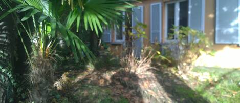 Vue sur le jardin