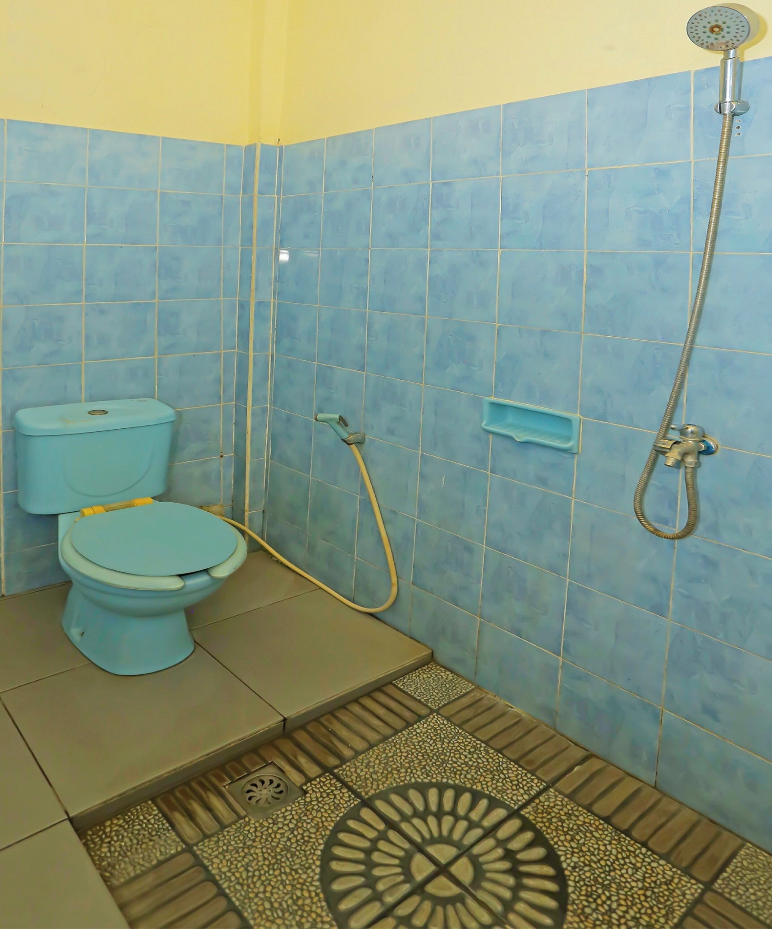 Une salle de bain avec des toilettes, une douche et un mur recouvert de carreaux bleus.
