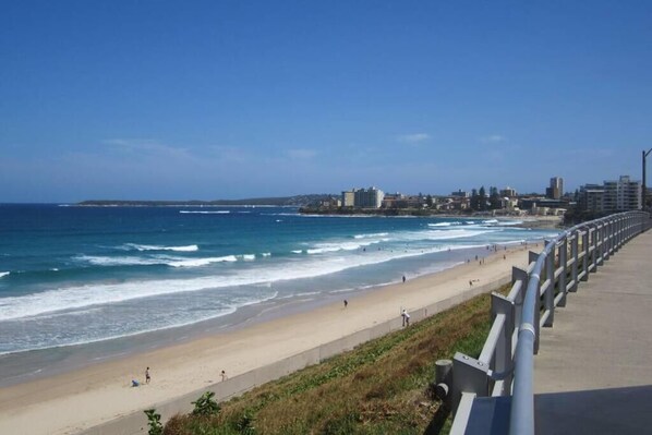 Playa